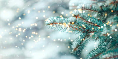 Christmas tree outdoor with snow, lights bokeh around, and snow falling, Christmas atmosphere.
